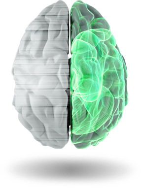 Logiciel de saisie intelligente